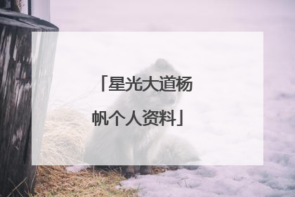 星光大道杨帆个人资料