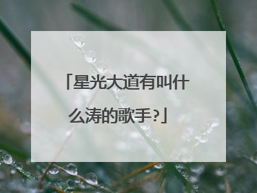 星光大道有叫什么涛的歌手?