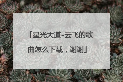 星光大道-云飞的歌曲怎么下载，谢谢