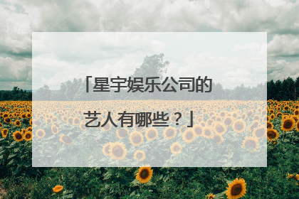 星宇娱乐公司的艺人有哪些?