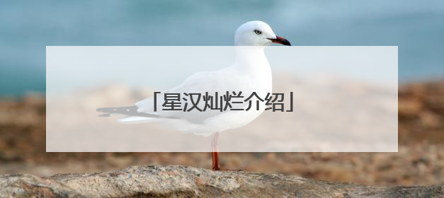 星汉灿烂介绍