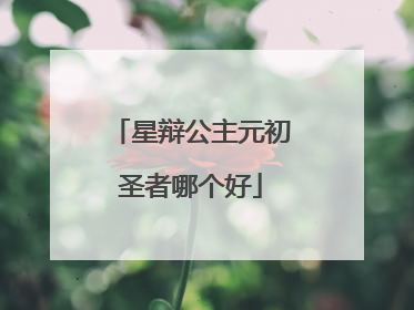 星辩公主元初圣者哪个好