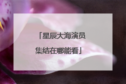 星辰大海演员集结在哪能看