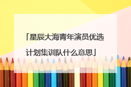 星辰大海青年演员优选计划集训队什么意思