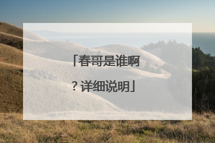 春哥是谁啊？详细说明