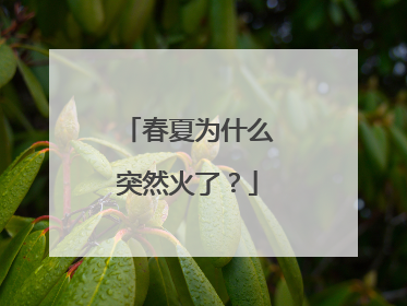 春夏为什么突然火了？