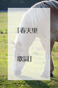 春天里歌词