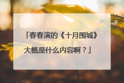 春春演的《十月围城》大概是什么内容啊?