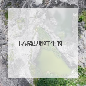 春晓是哪年生的