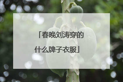 春晚刘涛穿的什么牌子衣服