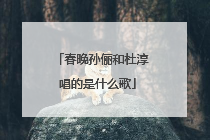 春晚孙俪和杜淳唱的是什么歌