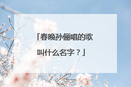 春晚孙俪唱的歌叫什么名字?