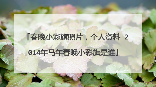 春晚小彩旗照片,个人资料 2014年马年春晚小彩旗是谁