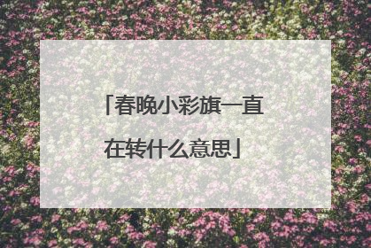 春晚小彩旗一直在转什么意思