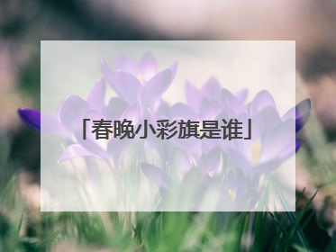 春晚小彩旗是谁