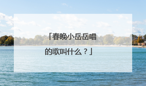 春晚小岳岳唱的歌叫什么?