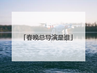 春晚总导演是谁