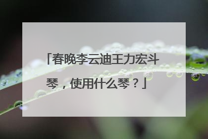 春晚李云迪王力宏斗琴，使用什么琴？