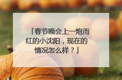 春节晚会上一炮而红的小沈阳,现在的情况怎么样?