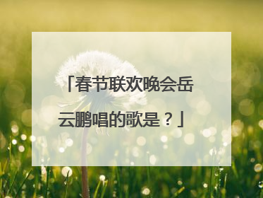 春节联欢晚会岳云鹏唱的歌是?