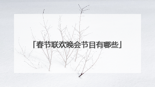 春节联欢晚会节目有哪些