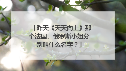 昨天《天天向上》那个法国、俄罗斯小姐分别叫什么名字？