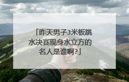 昨天男子3米板跳水决赛现身水立方的名人是谁啊?
