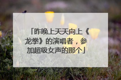 昨晚上天天向上《龙拳》的演唱者，参加超级女声的那个