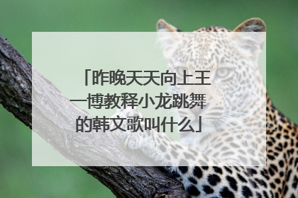 昨晚天天向上王一博教释小龙跳舞的韩文歌叫什么