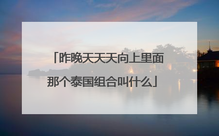 昨晚天天天向上里面那个泰国组合叫什么