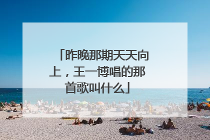 昨晚那期天天向上,王一博唱的那首歌叫什么