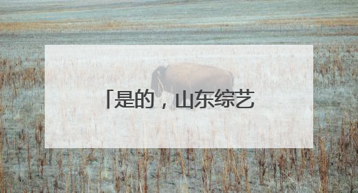 是的，山东综艺频道，综艺满天星里的田晓蕾