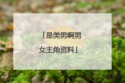 是美男啊男女主角资料