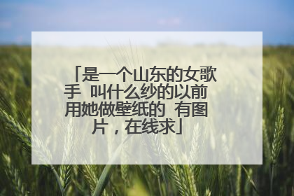 是一个山东的女歌手 叫什么纱的以前用她做壁纸的 有图片，在线求