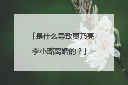 是什么导致贾乃亮李小璐离婚的?