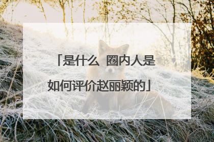 是什么 圈内人是如何评价赵丽颖的