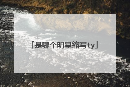 是哪个明星缩写ty