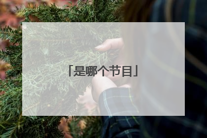 是哪个节目