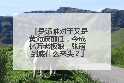 是汤唯对手又是黄海波前任，今成亿万老板娘，张萌到底什么来头？