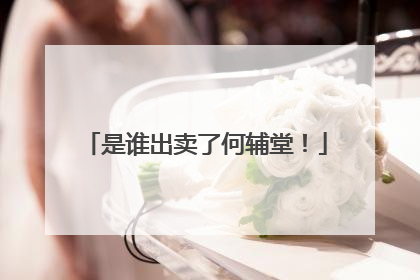 是谁出卖了何辅堂!