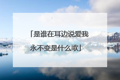 是谁在耳边说爱我永不变是什么歌