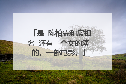 是 陈柏霖和房祖名 还有一个女的演的。一部电影。