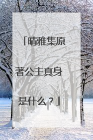 晴雅集原著公主真身是什么?