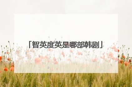智英度英是哪部韩剧