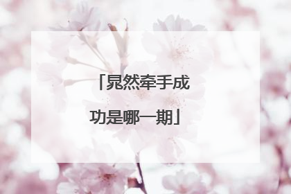 晁然牵手成功是哪一期