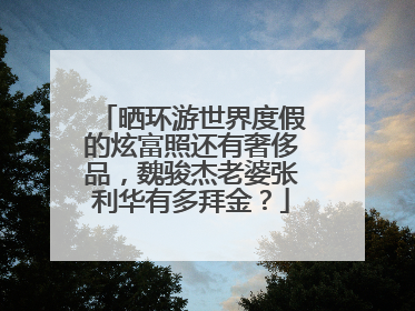 晒环游世界度假的炫富照还有奢侈品，魏骏杰老婆张利华有多拜金？
