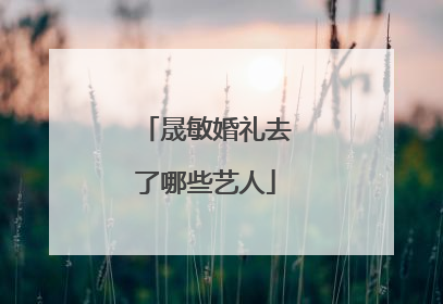 晟敏婚礼去了哪些艺人