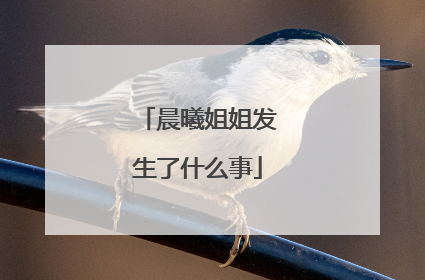 晨曦姐姐发生了什么事