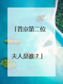 普京第二位夫人是谁?