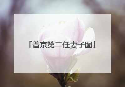 普京第二任妻子图